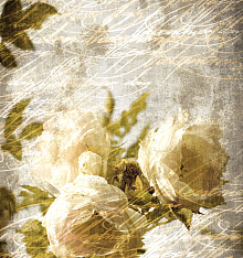 Рулонные шторы с розами Divino DelDecor Сантайм Уни Макси LRB-0169